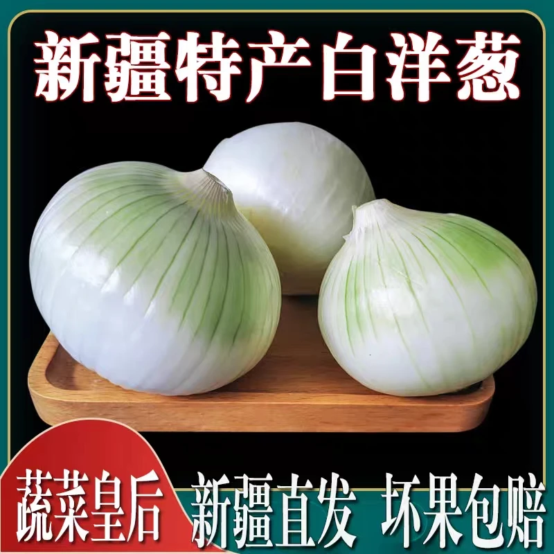 新疆白皮牙子白皮洋葱凉拌菜新鲜蔬菜生吃3斤5斤新疆直发包邮