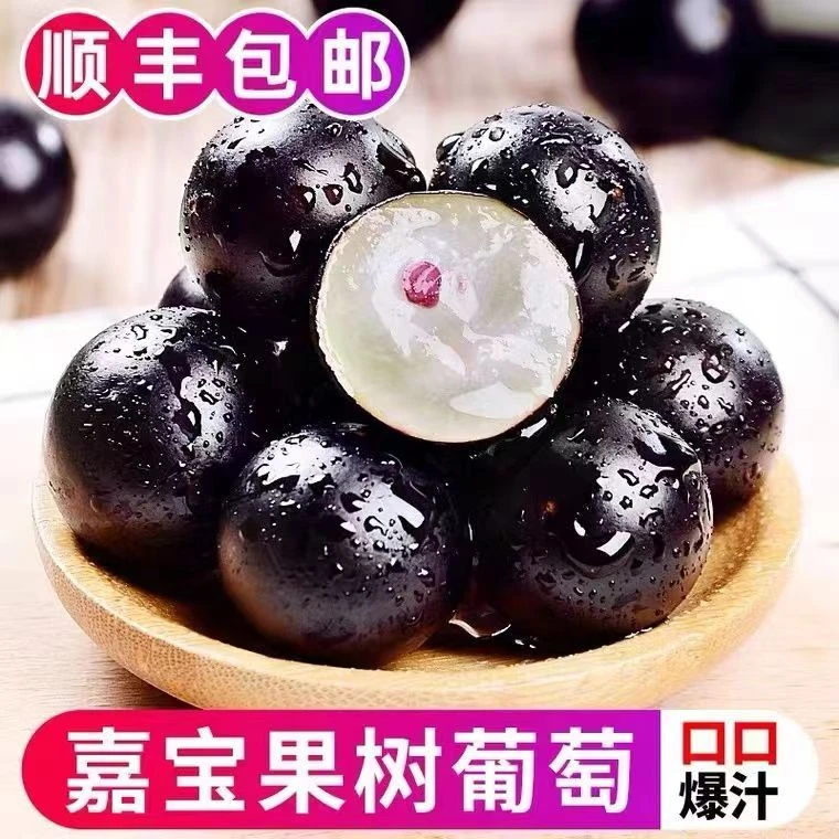 顺丰空运【高端嘉宝果】新鲜树葡萄头茬鲜果高端孕妇水果1-5斤