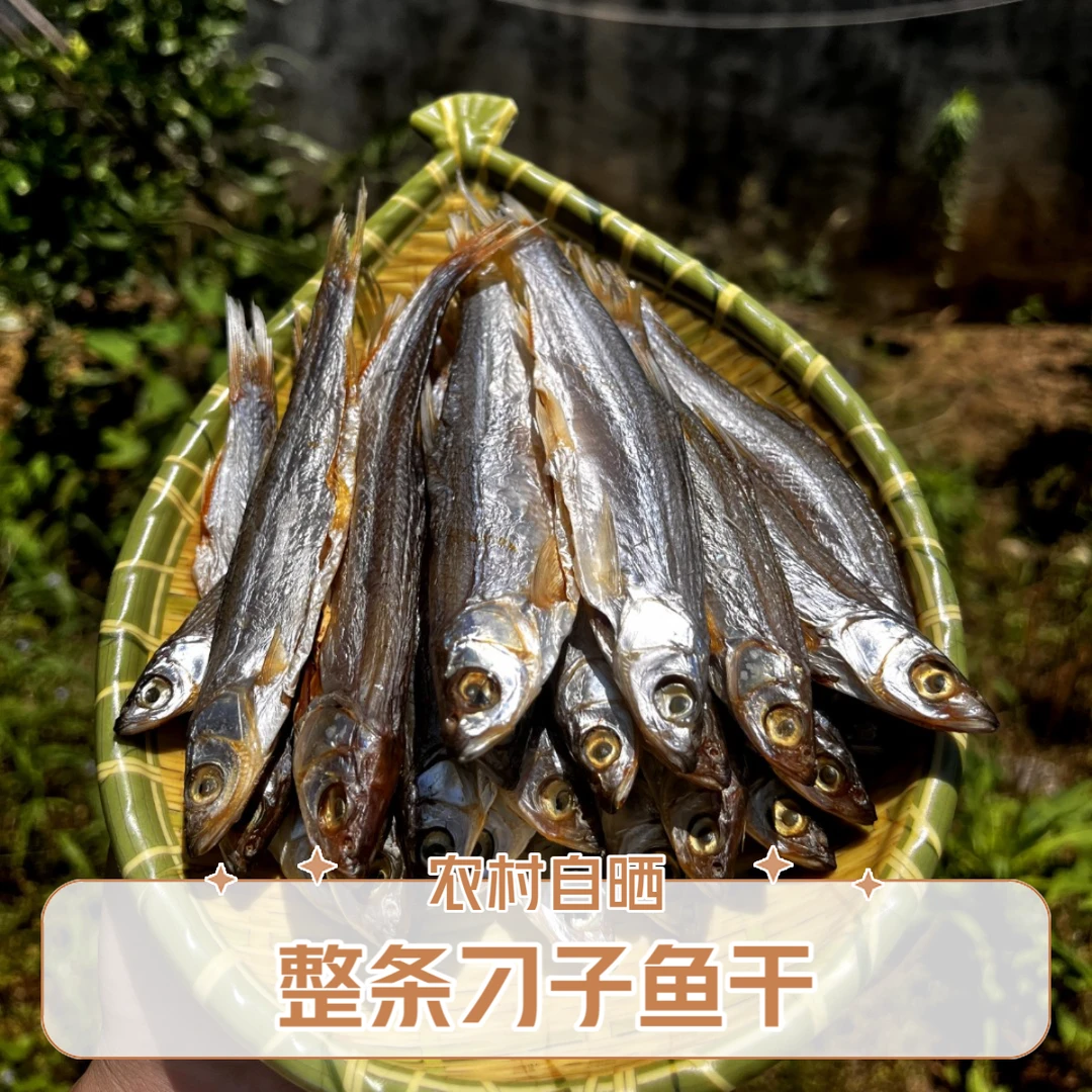 刁子鱼翘嘴鱼风干刁子鱼腌制咸鱼小鱼干开肚刁子鱼小河鱼干可批发