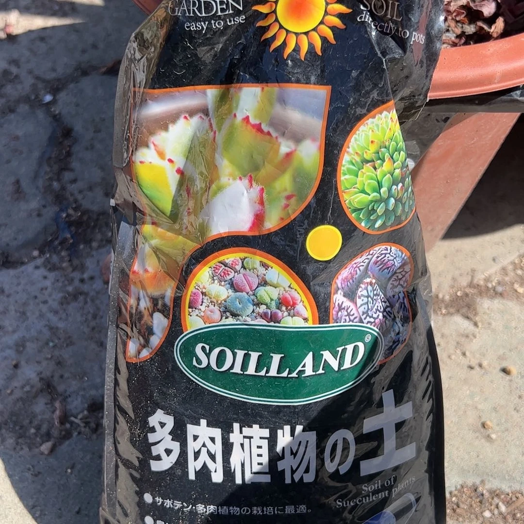 多肉土多肉植物精品
