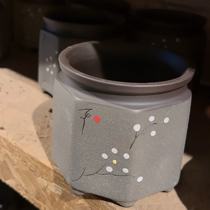 紫砂花盆多肉植物