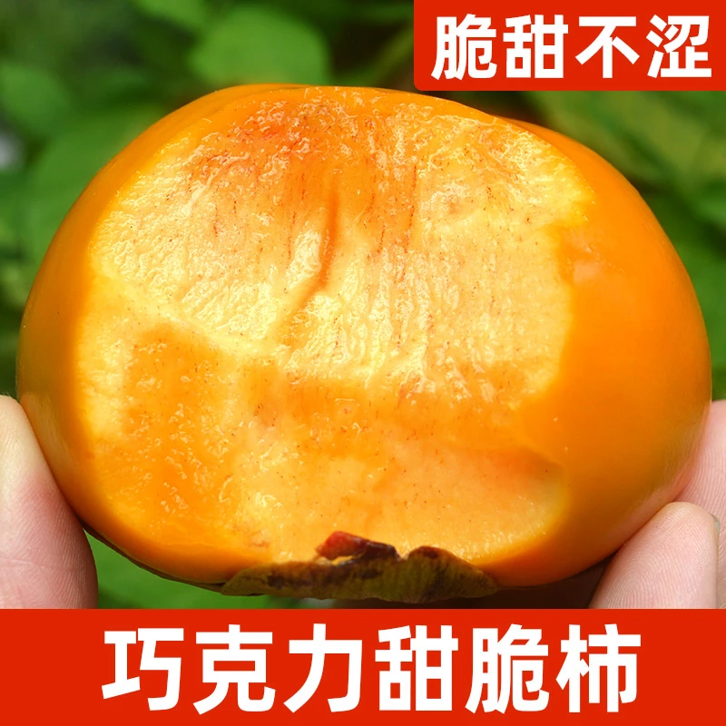 脆柿5斤冰糖心脆柿子当季新鲜水果巧克力脆柿香甜多汁不涩嘛硬柿