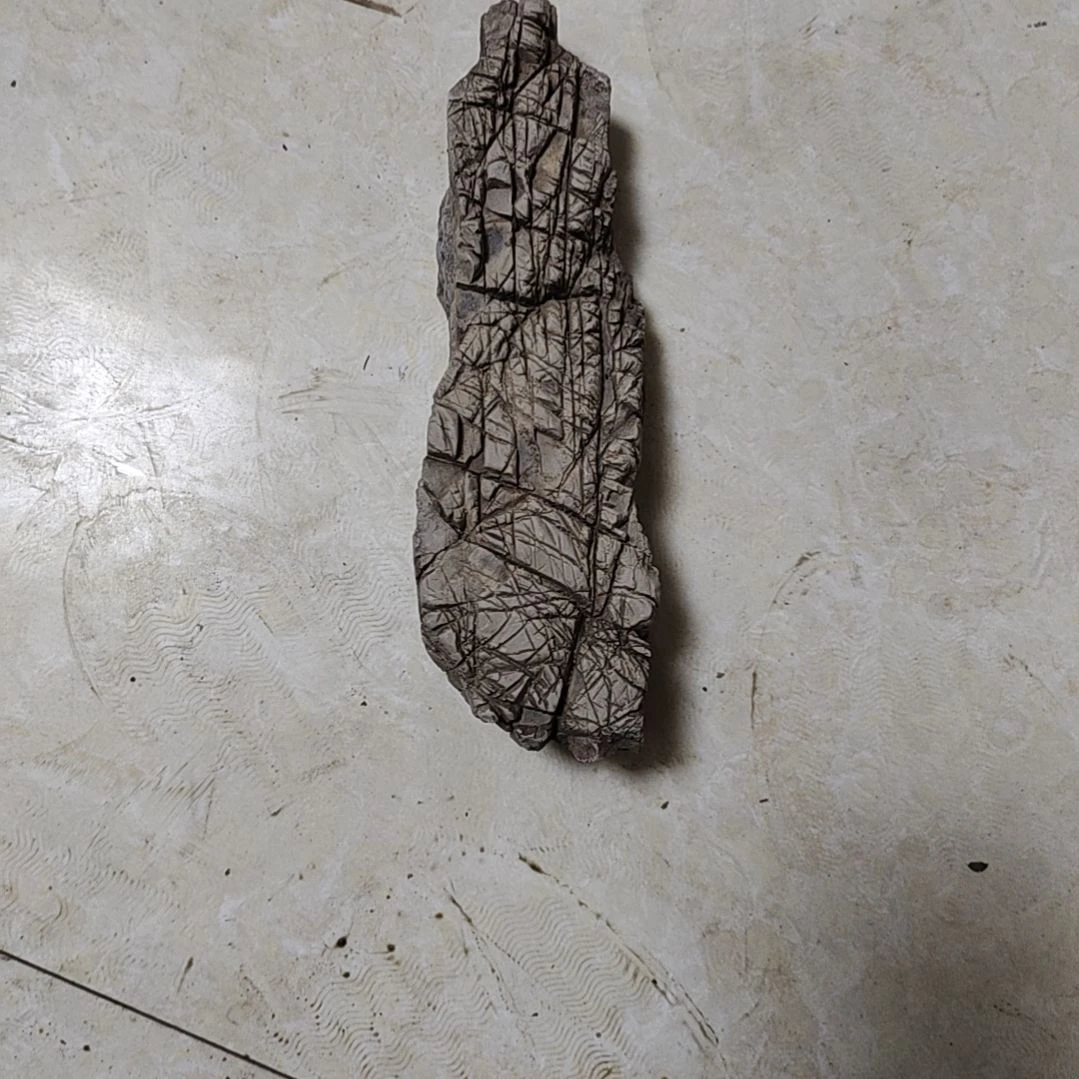 【闪购商品】太行山龟纹石