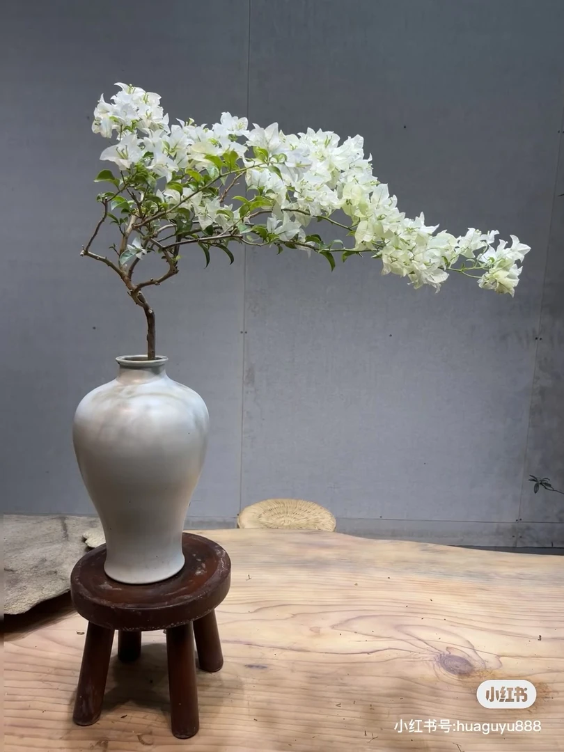 白雪公主·三角梅美观趣味走廊露台花卉阳台庭院