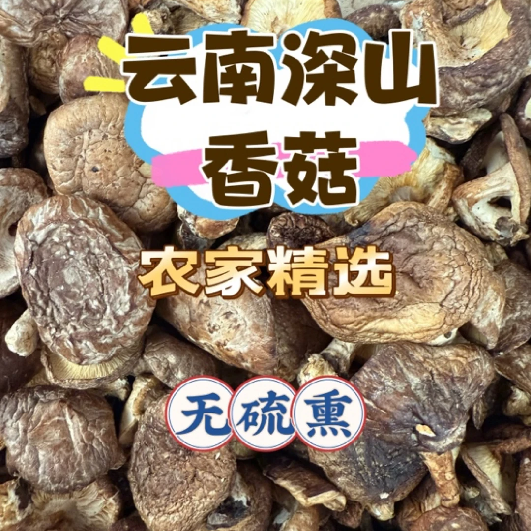 云南深山香菇自然晒干无添加农家精选