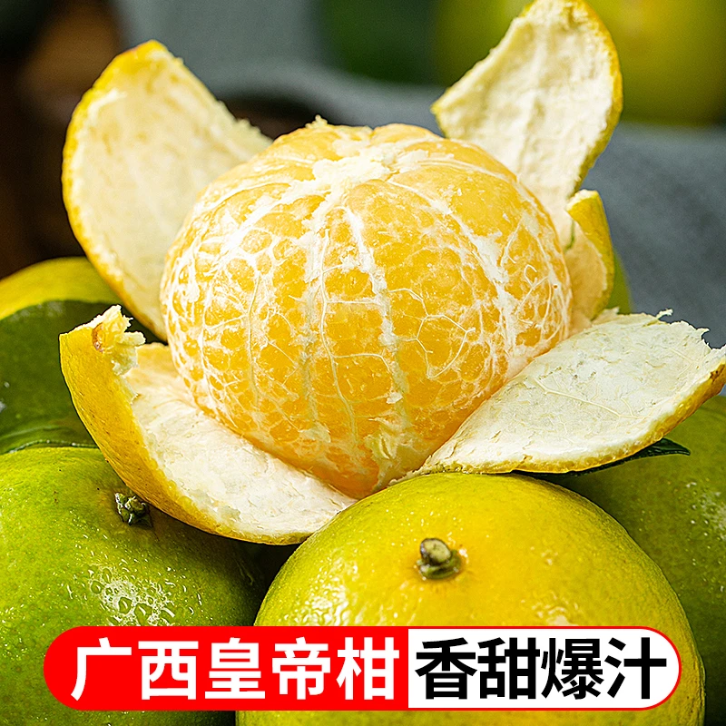 【坏果包赔】广西皇帝柑5斤新鲜水果甜蜜多汁新鲜采摘皮薄酸甜