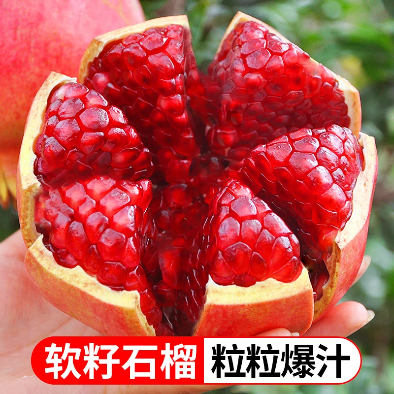 四川新鲜软籽石榴4.5斤皮薄爆汁YS