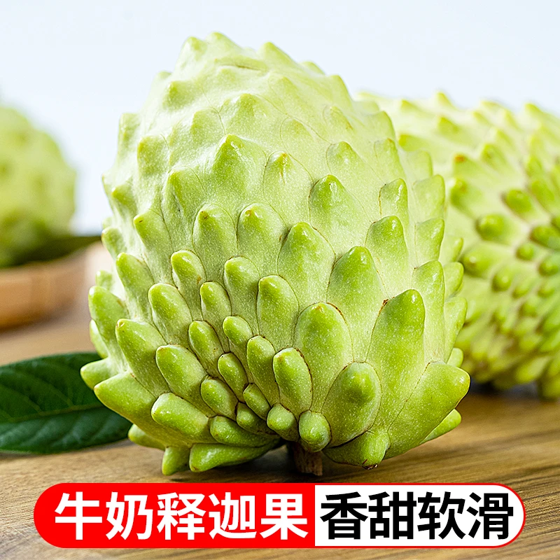 云南高原牛奶凤梨释迦3斤新鲜采摘香甜多汁sss