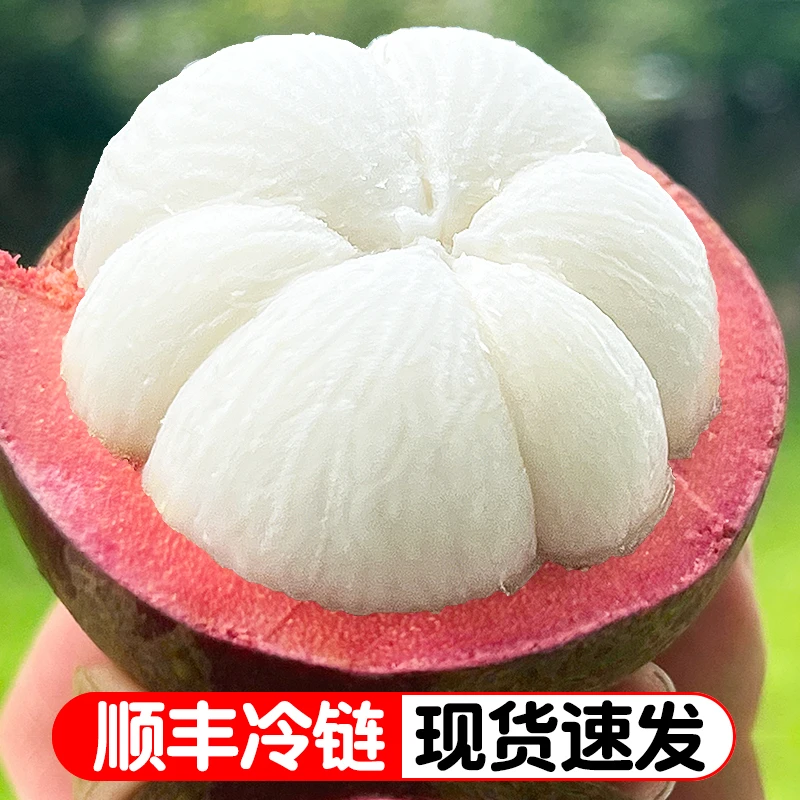 泰国新鲜山竹3/5斤装老树麻竹饱满白嫩交个朋友2