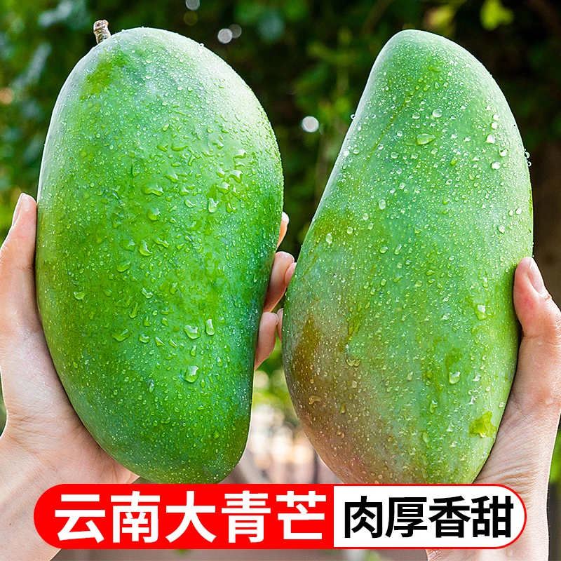 云南大青芒热带水果香甜多汁大芒果5/8斤新鲜肉嫩饱满爽滑