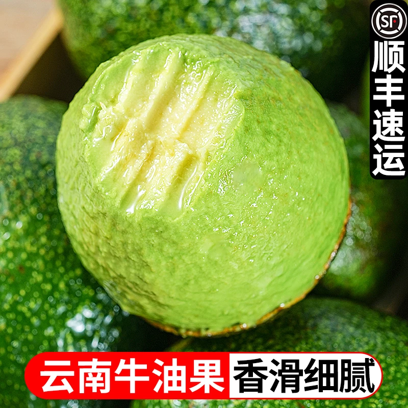 云南哈斯牛油果软糯香甜应季水果6枚装100-190g交个朋友零食