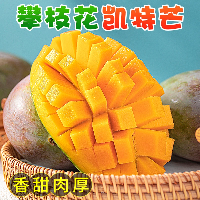 四川攀枝花凯特芒3斤5斤新鲜香甜多汁催熟食用LYY