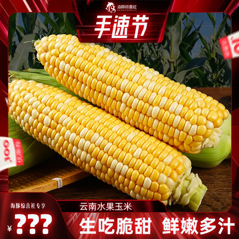 【海豚专属】云南新鲜水果玉米甜玉米5斤约5-8根/8斤约8-13根