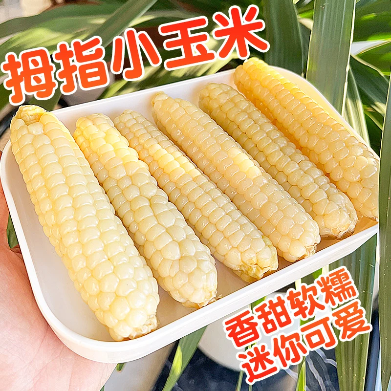 【软糯香甜】西双版纳拇指玉米傣家白糯玉米独立包装小玉米1/2斤