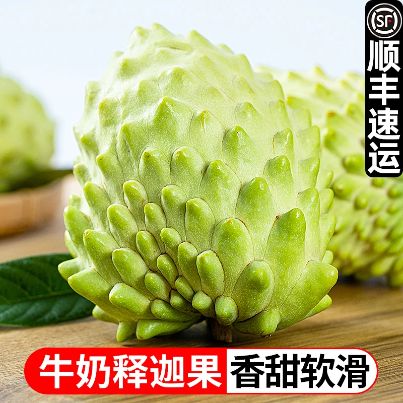 【吃货胖嘟嘟专属】云南高原牛奶凤梨释迦3斤新鲜香甜多汁释迦果