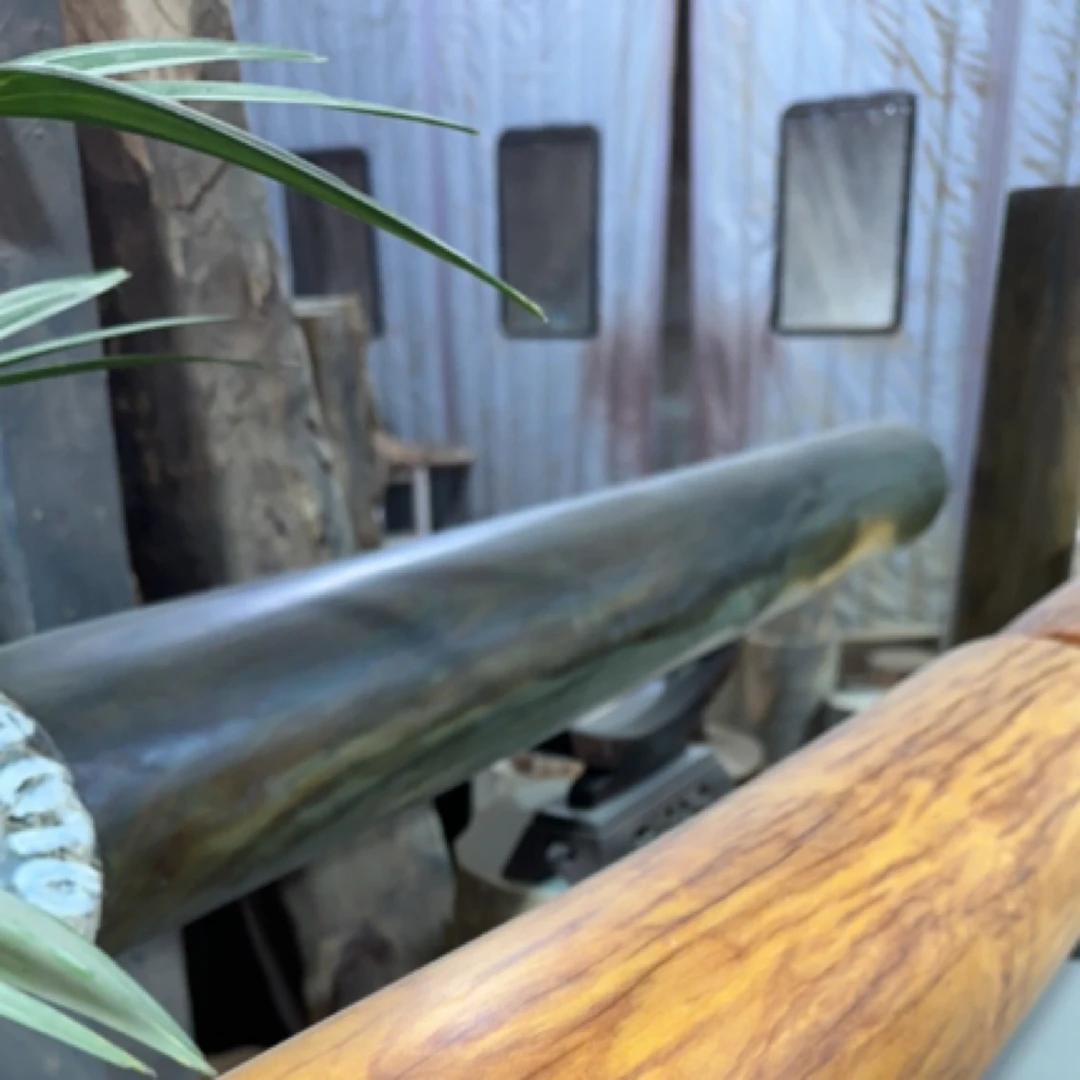 原木红木一物一拍321