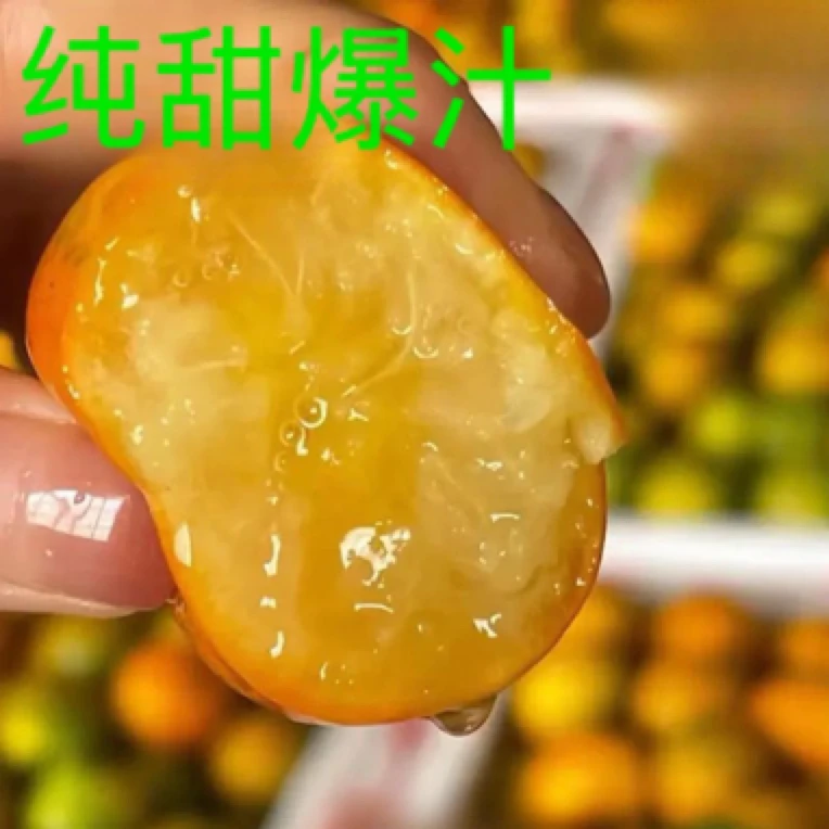 （娇姐家的水果生鲜）B级融安金桔三代脆蜜金柑纯甜爆汁 无子无核