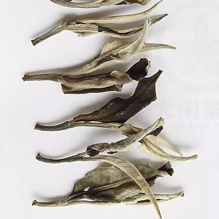 云南白茶月光美人古树白茶花香馥郁冰糖甜