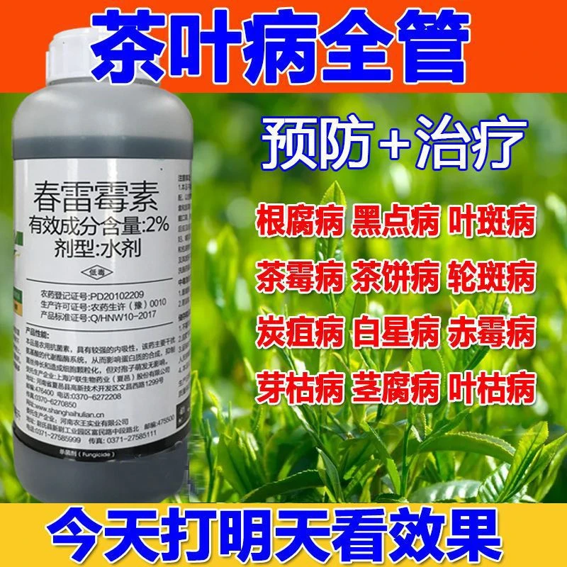 茶叶病全治病杀菌赤霉病叶斑病炭瘟病茶叶专用茶叶茶树专用杀菌剂