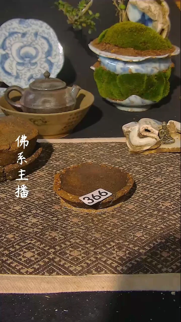 【闪购商品】00000366