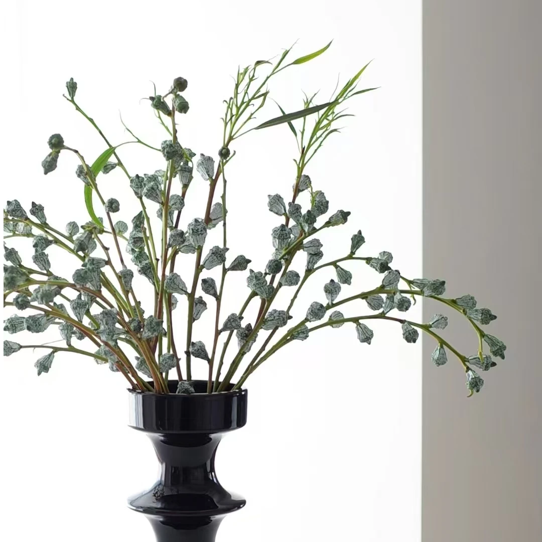 尤加利果 可做干花 三单一个运费