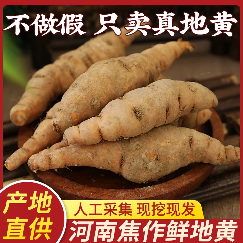 鲜地黄500g河南焦作中正宗药材怀地黄新鲜生地可榨汁包邮现挖现发