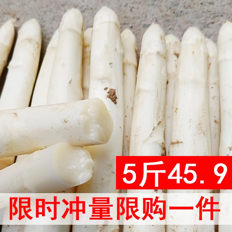 白芦笋新鲜蔬菜山东曹县特产农家现挖现发500g包邮5斤3时令嫩笋