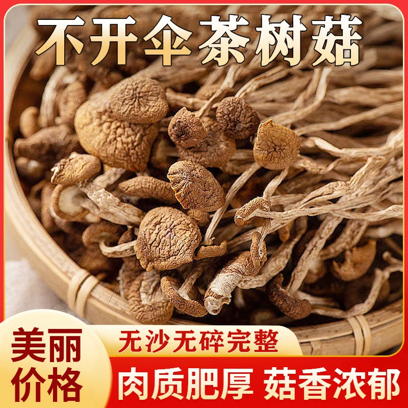 【不开伞茶树菇】福建古田特产伞茶树菇批发煲汤香菇净重无干燥剂装
