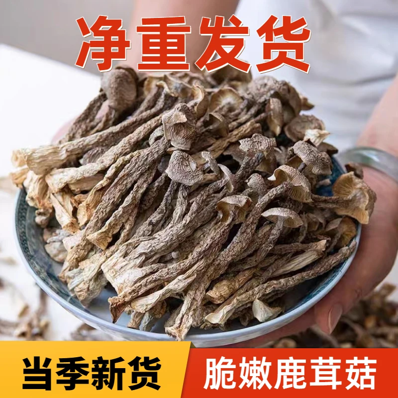 鹿茸菇干货500g农家特产菌菇香菇煲汤食材营养鹿茸菌50g干锅爆炒
