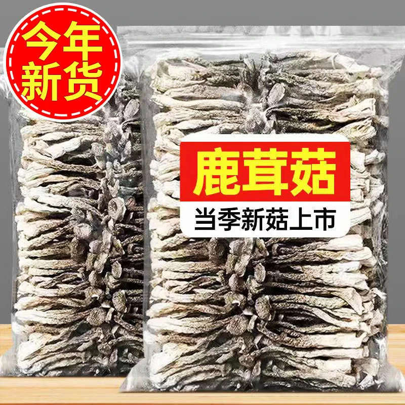 鹿茸菇干货鹿茸菌新鲜菇类煲汤食材食用菌菇农家干货口感好味道佳