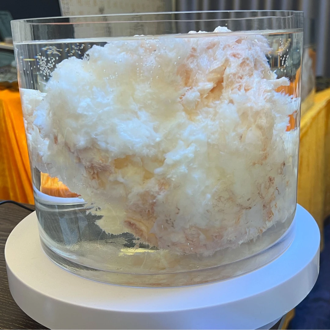 长白山石太岁摆件