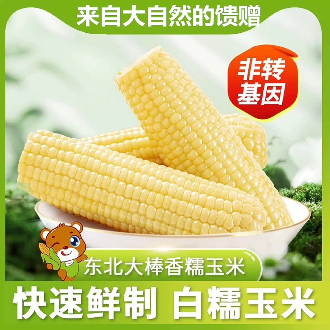【买8送2】24年东北寒地白糯玉米 香甜软糯玉米 单根均重 260g-300g