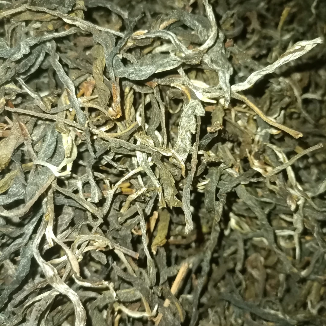 24年的勐库大雪山秋茶也是谷花茶