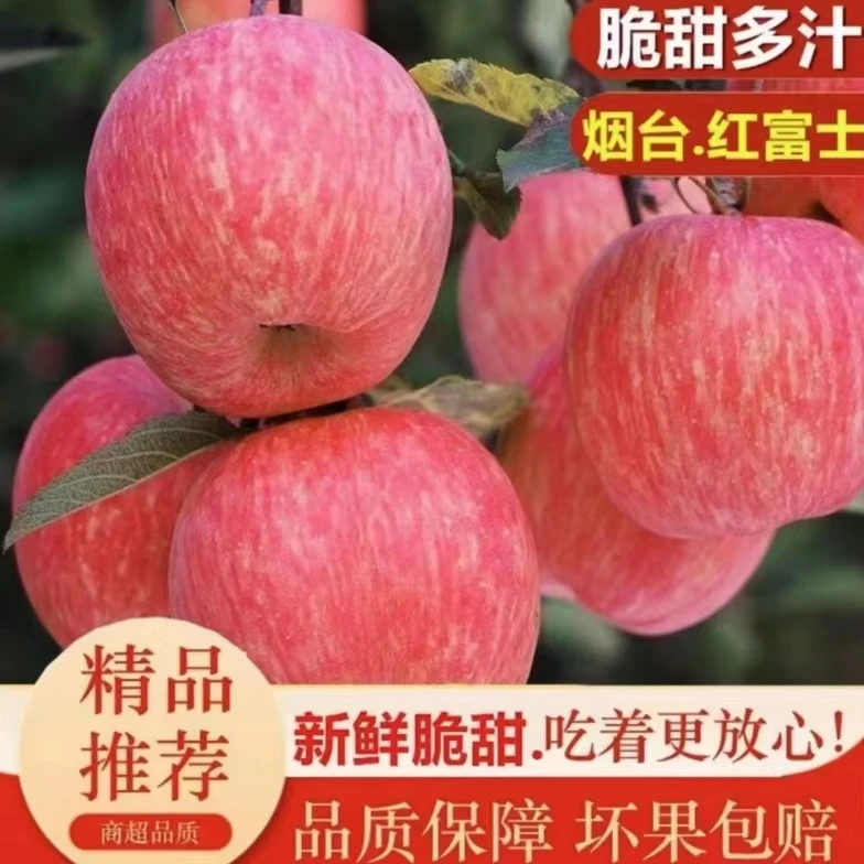 【买五斤送五斤】山东烟台红富士苹果产地直发脆甜多汁新鲜坏果包赔