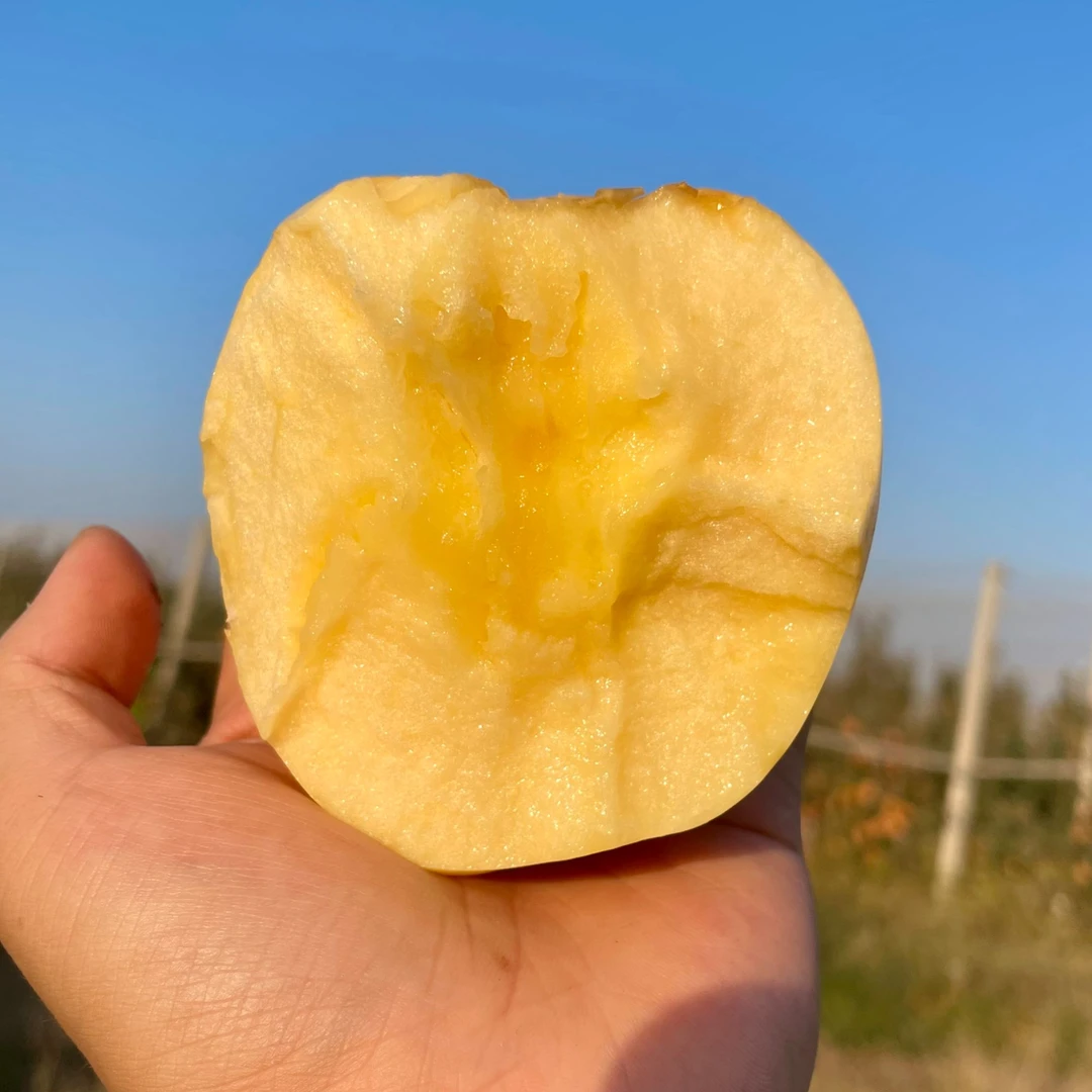 【顺丰包邮】维纳斯黄金苹果礼盒装香味浓郁脆甜多汁