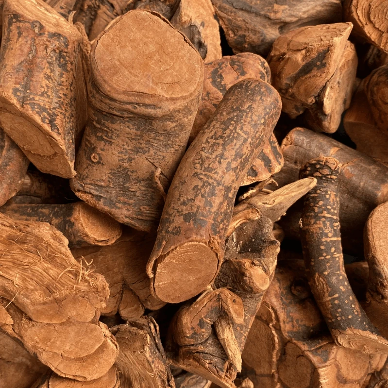 云南土特产 滋补农产品 地-柴-头