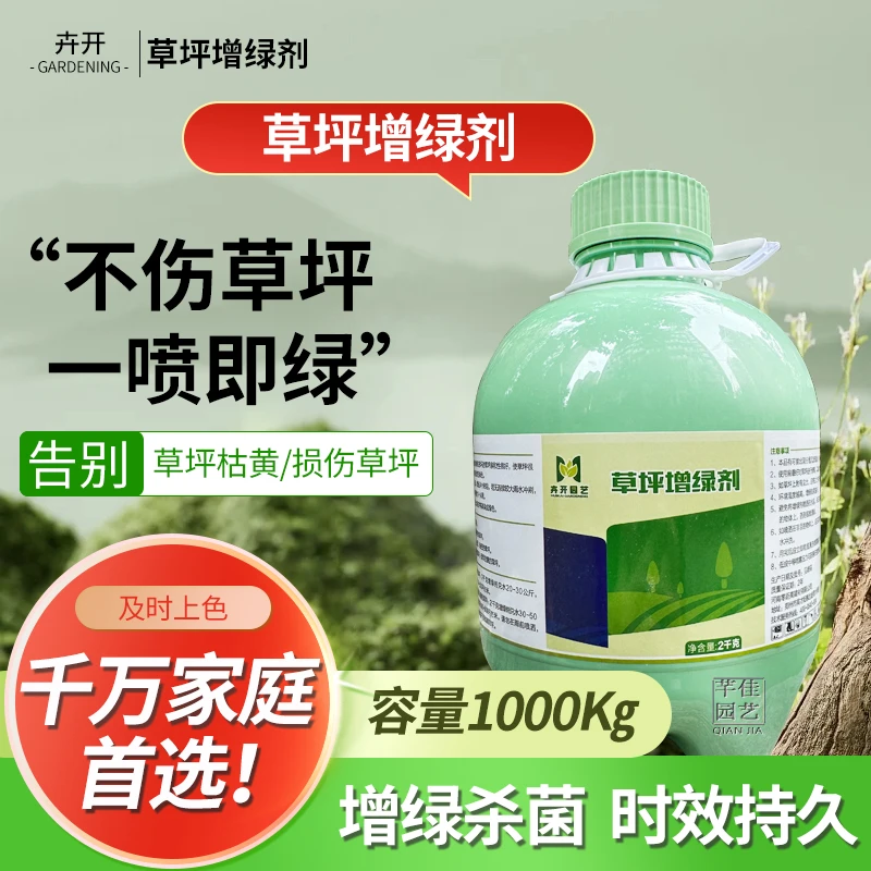 草坪增绿剂不伤草坪一喷绿植物通用枯草树木休眠期快速复绿染色剂