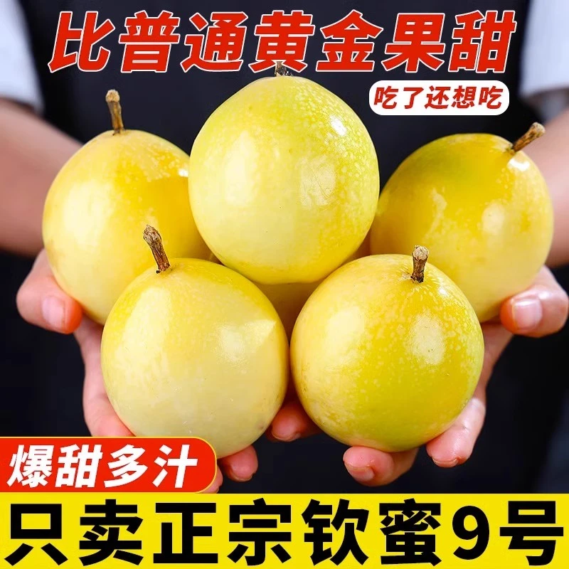 【香甜】钦密9号黄金百香果 新鲜水果现摘现发原产地直供坏果包赔B