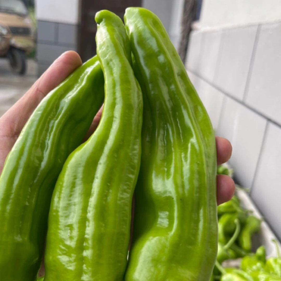 （土货）恩施高山薄皮虎皮椒