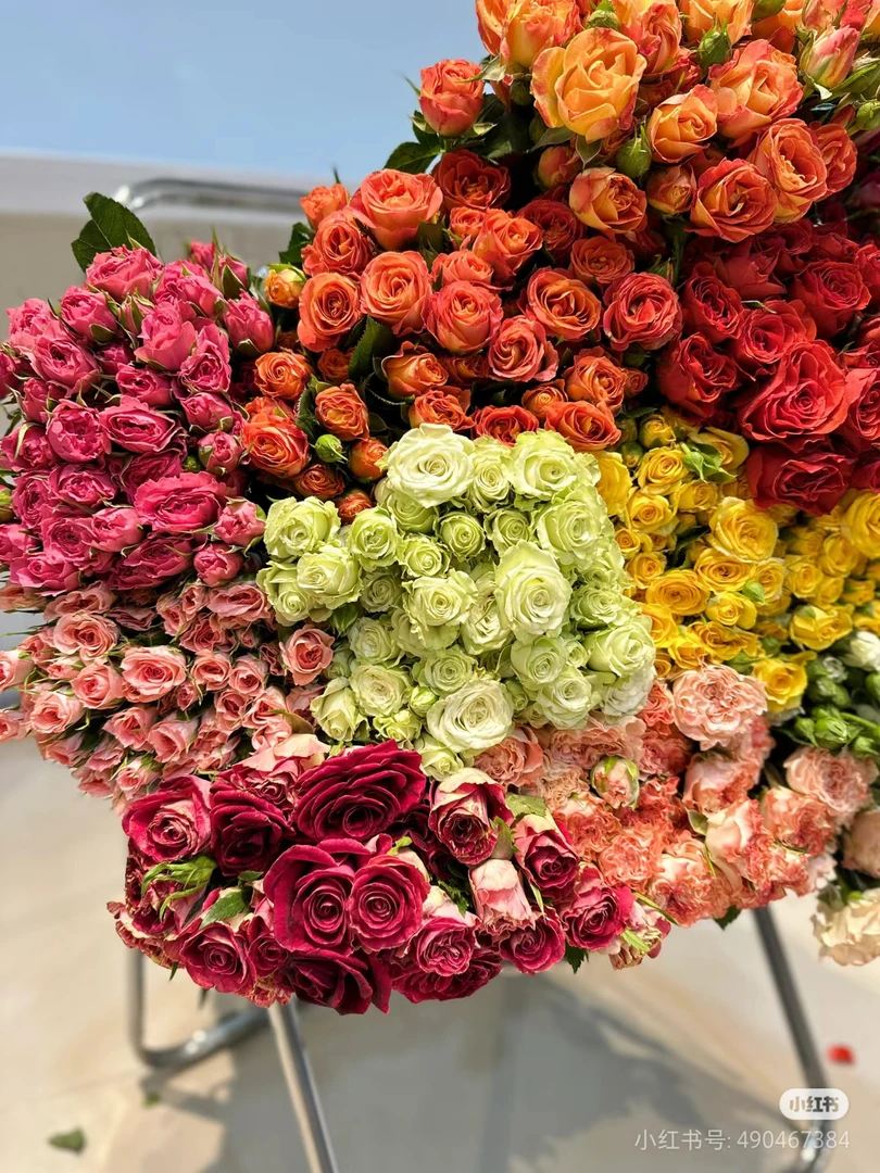 【橙芭比、折射、巧克力泡泡】第二单减10元  昆明及全国各地批发