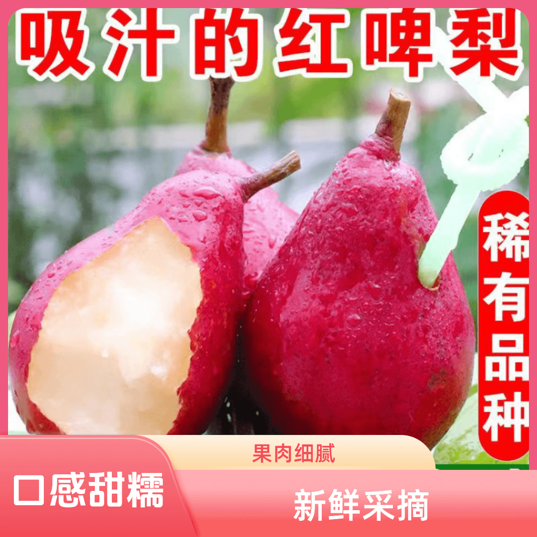 【吃软不吃硬】红啤梨现摘应季果核小无渣口感多汁香甜细腻爽口包邮