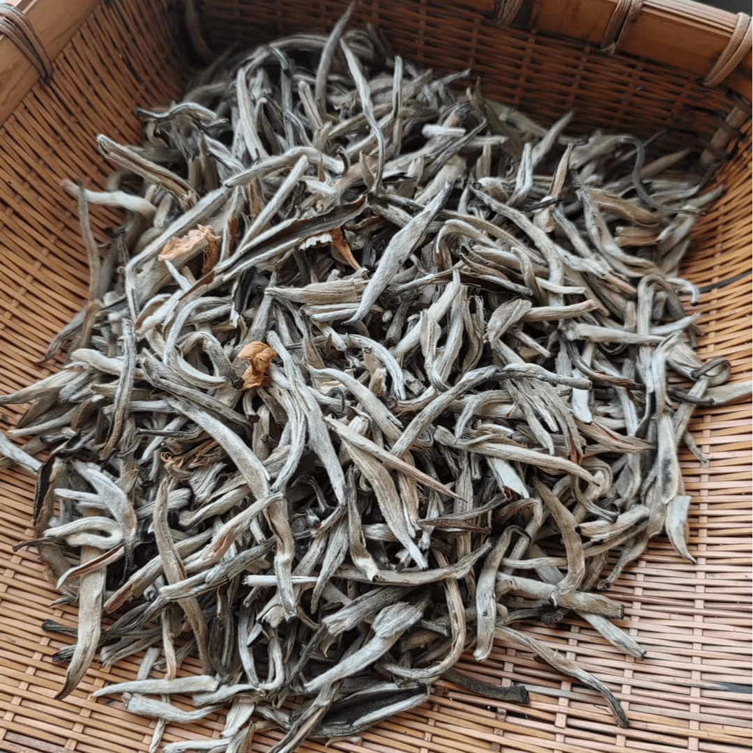 茉莉精针王   一级