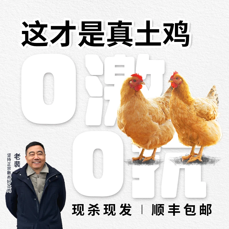 【两只300天母鸡】老裴家庭农场母鸡散养土鸡高品质煲汤健康美味