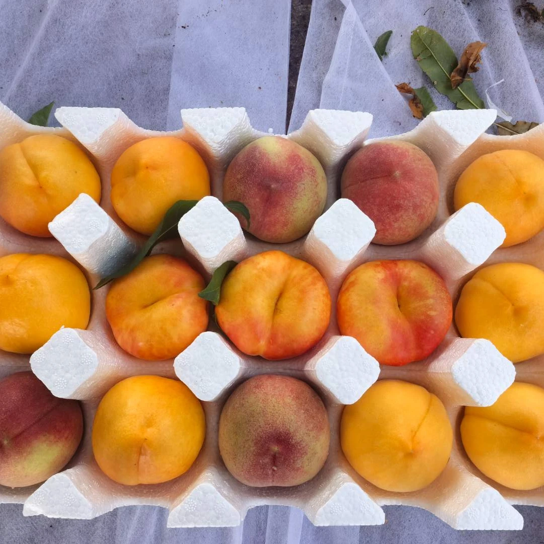 桃子四拼!蒙阴桃子四种口味!黄油桃+黄毛桃+红水蜜桃+彩虹蟠桃