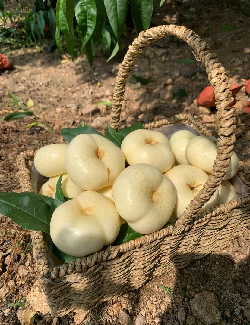 奶油蟠桃新鲜水果当季整箱蒙阴白蟠桃应季水果桃子新鲜扁油桃潘桃