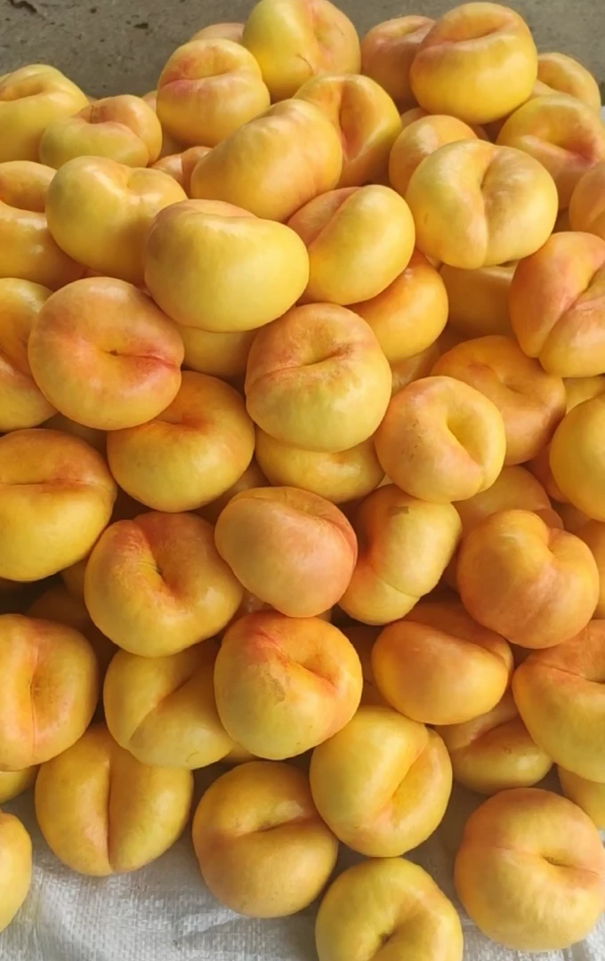 山东蒙阴6-6黄油蟠桃果型小自家果园当日采摘顺丰直发