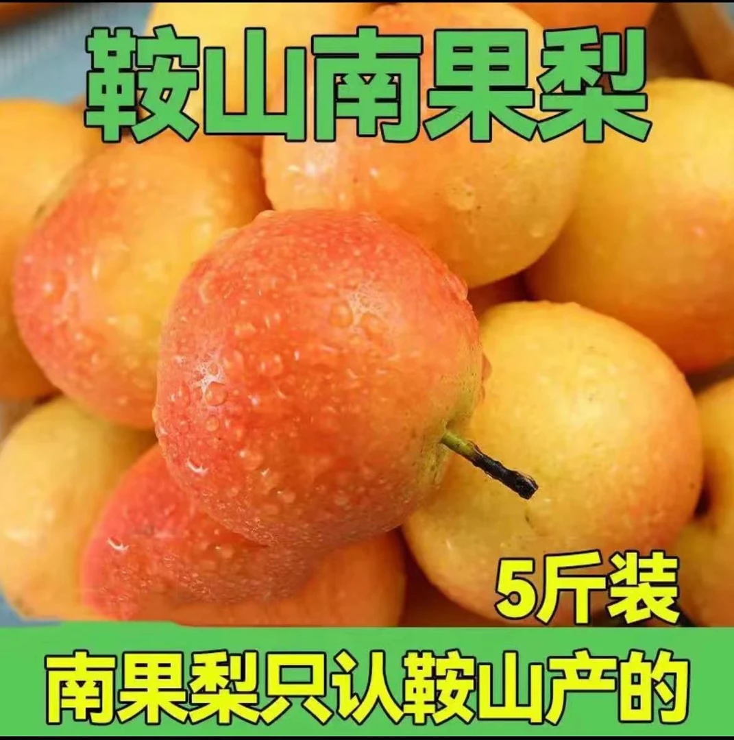正宗鞍山老树南果梨直播间福利一样一半