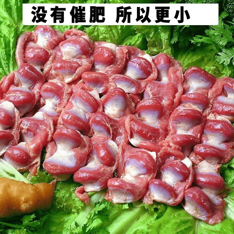 【新品】国产鸡胗新鲜现杀冷冻鸡胗鸡肫鸡胃-5斤