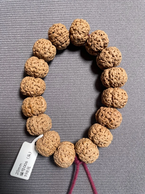 梅花桩爆肉蜂王编号006-1