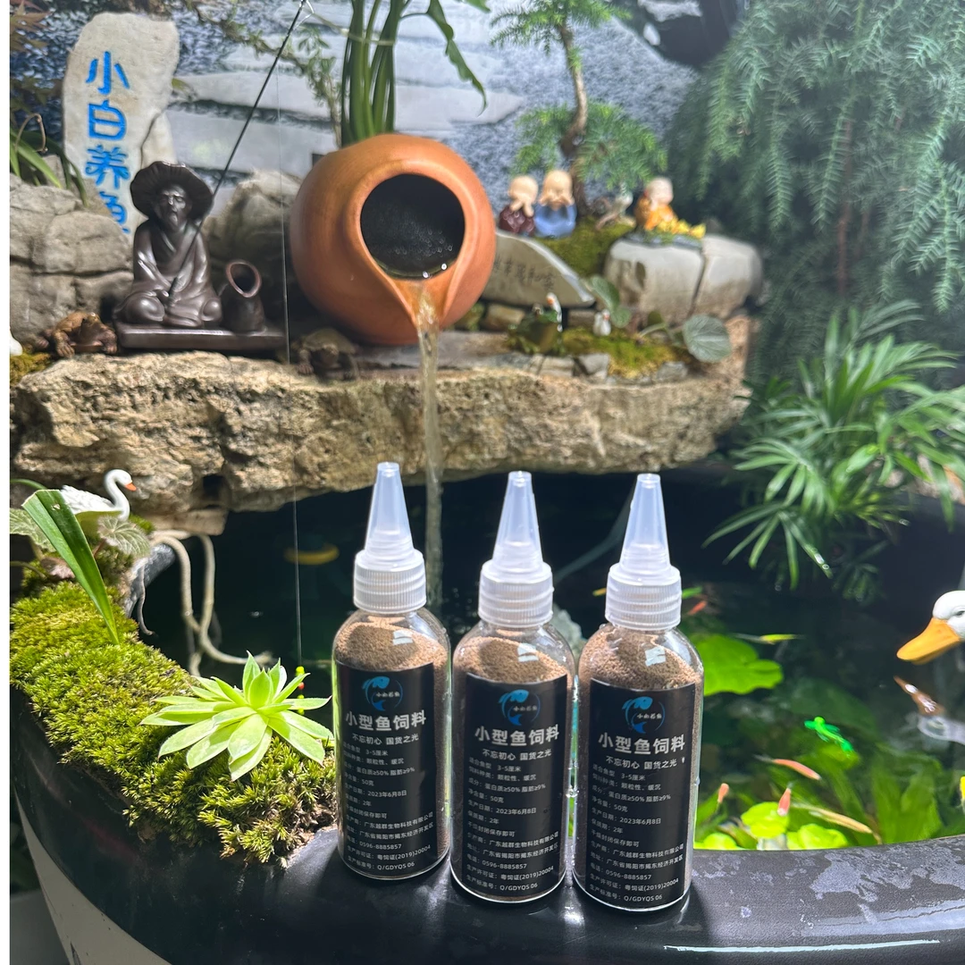 小型观赏鱼鱼食 鲽翼斑马、观背青鳉、天使鱼、孔雀优质物饲料B2型